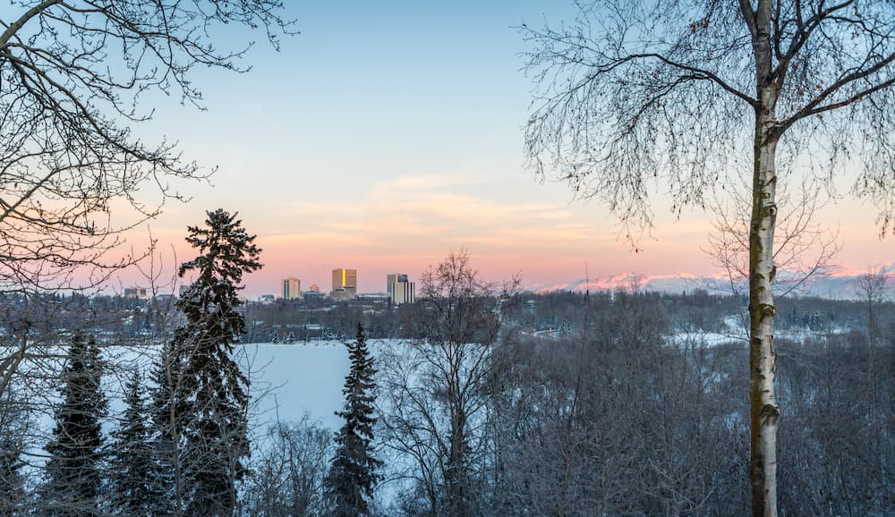 a snowy landscape with trees and buildings